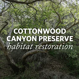 Cottonwood Canyon Habitat Restoration