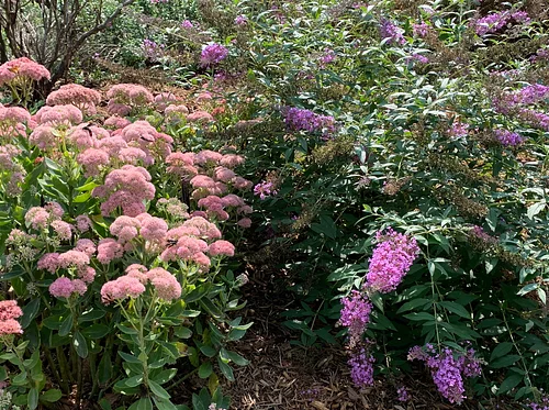 September Garden Tour