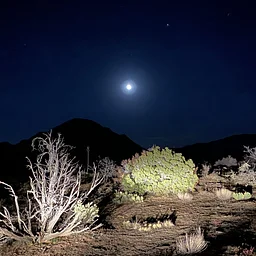 Star Party in the Mountains