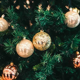 Winter Ornaments for family