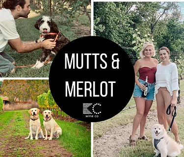 Mutts & Merlot {dog day}