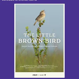 The Little Brown Bird Film Screening