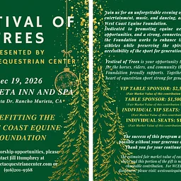 Festival of Trees