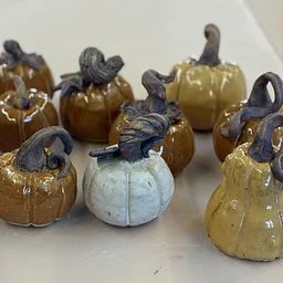 Family Pumpkin Night