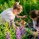 Teen Camp: Art, Poetry, Picasso . . . and Prairie Plants!