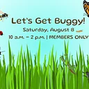 Let’s Get Buggy