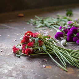 Garden to Vase: Cut Flower Workshop