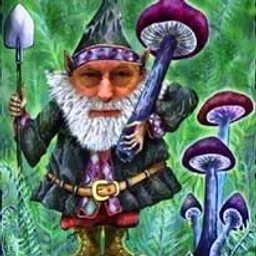 Fall Fungi of Arkansas: The Good, the Bad & the Medicinal