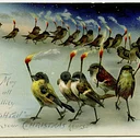 Litchfield Hills Audubon Christmas Bird Count
