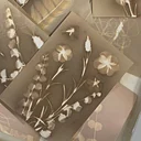 Lumen Printing