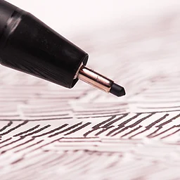 Fine Line Pen for Botanical Illustration