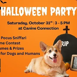 Canine Connection Halloween Party