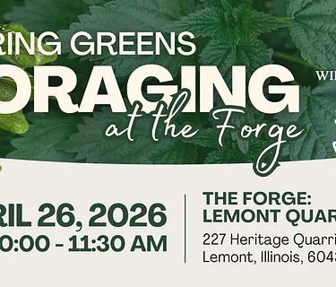 Spring Greens: Foraging at The Forge Plant Walk