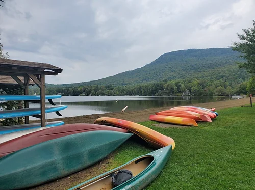 Words in the Woods: Neil Shepard