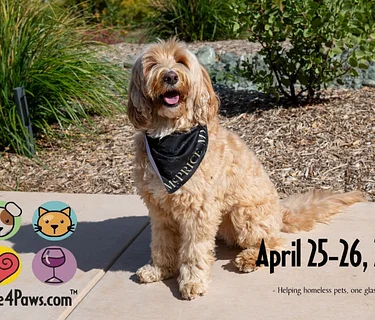Wine 4 Paws Weekend