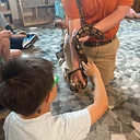 Summer Camp: It’s Alive! A Nature Discovery Camp