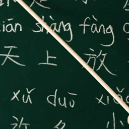 Mandarin Language Class