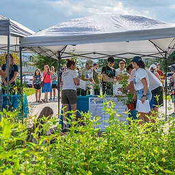 Plant for Pollinators: Bees and Trees