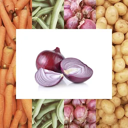 The Healing Kitchen: Create a Natural Pharmacy (In-Person)