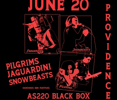 Pilgrims + Snowbeasts + Jaguardini