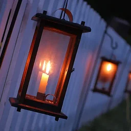 Twilight Garden Tour: Poison, Potions & Folklore in the Colonial Garden