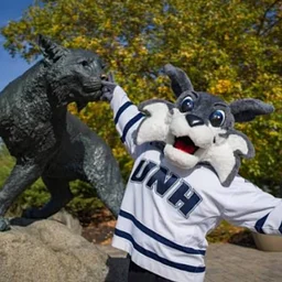 Wildcats come home!