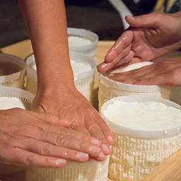 Cheese, Butter & Yogurt Making Class