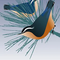 First Saturday Bird Walk