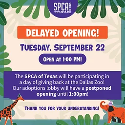 Adoption Lobby Delayed Opening – Zooday Birthday Bash