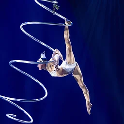 A Magical Cirque Christmas
