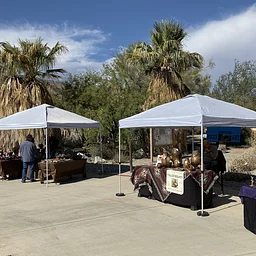 Desert Mountains Art Fair
