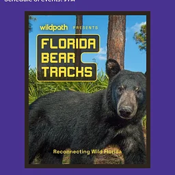Florida Bear Tracks Film Screening