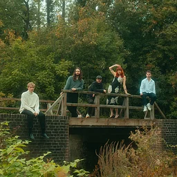 DITZ (UK)