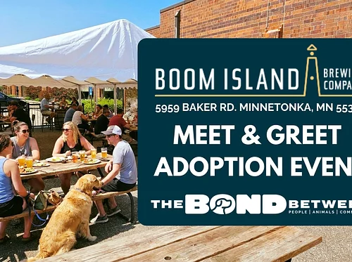 The Bond Between Adoption Event
