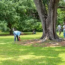 Thursday Garden Volunteers
