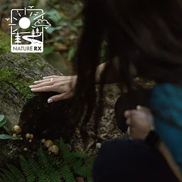 Nature Rx | Moments of Gratitude