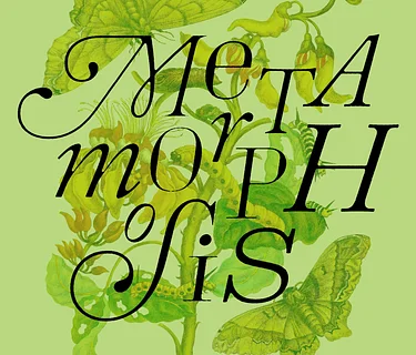 Metamorphosis: A BFA Exhibition