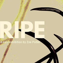 RIPE Opening Reception