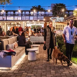Dog Bar