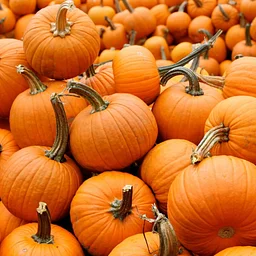 Halloween Trivia !
