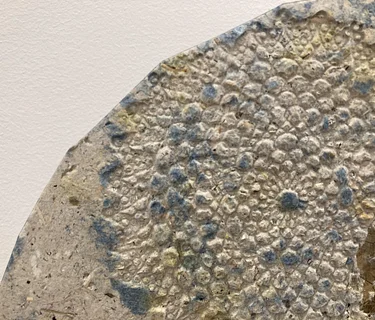 Papermaking 2 Series: Paper Sculpture Techniques with Katy DeMent