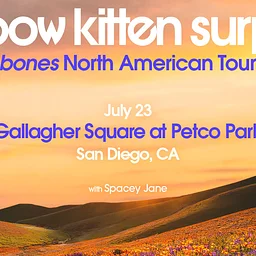 Rainbow Kitten Surprise