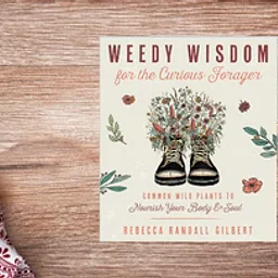 Foraging with Curiosity: Plants, Place and Connection