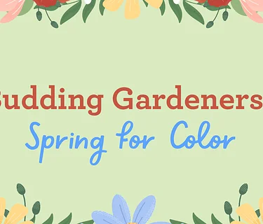 Budding Gardeners: Spring for Color