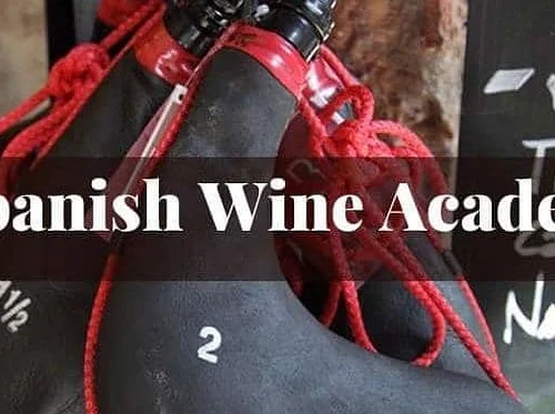 Spanish Wine Academy