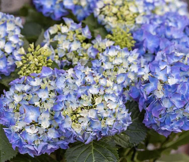 Create Your Own Spring Planter