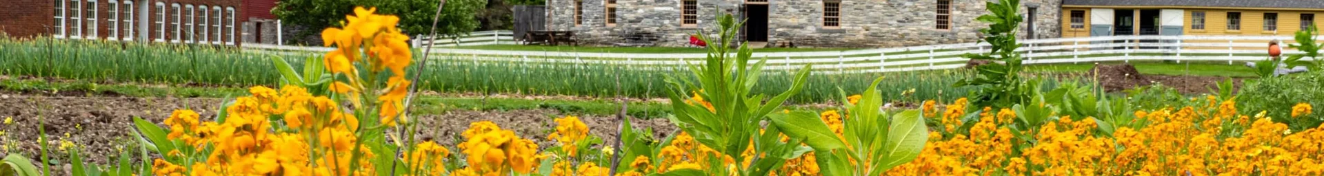 Hancock Shaker Village