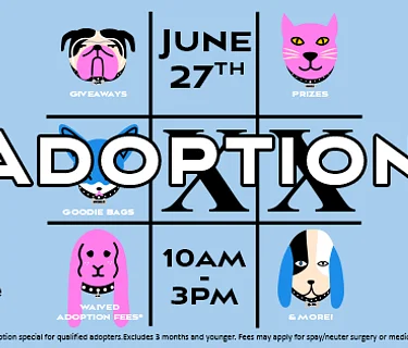 20th Annual Pet Adoption Day presented by VCA Animal Hospitals
