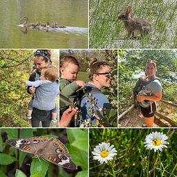 Newbies in Nature