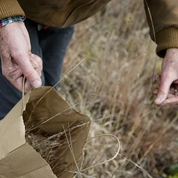 River Trail Workday: Seeds and Stewardship